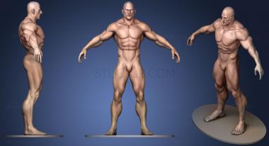 3D model Bodybuilder Free (STL)